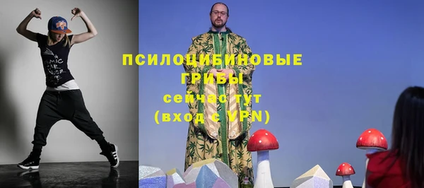 СК Арсеньев